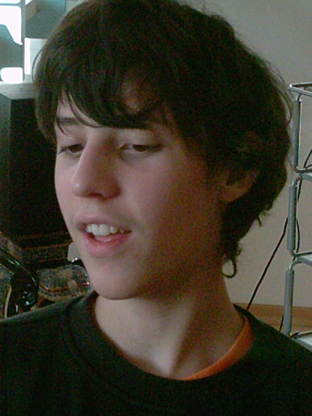 Robin_1